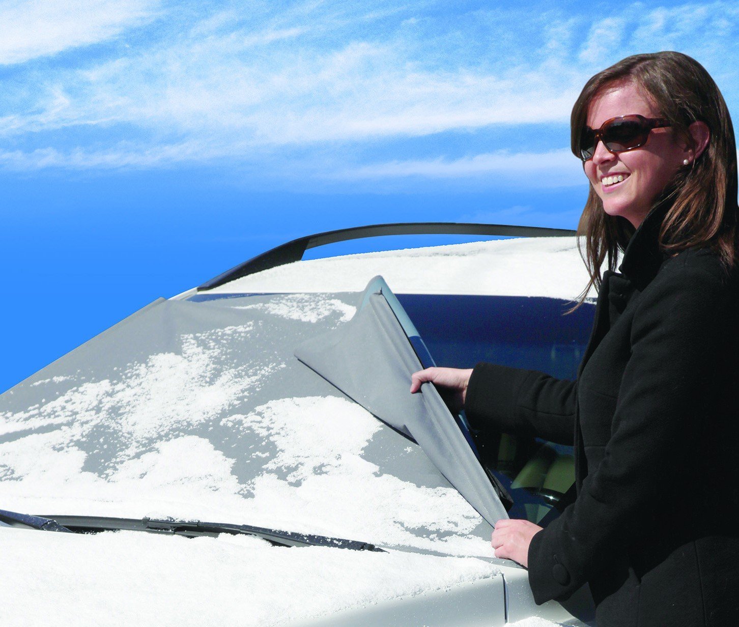 Frost Blocker Windscreen Protector